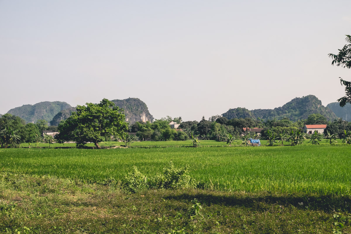 DSCF3141