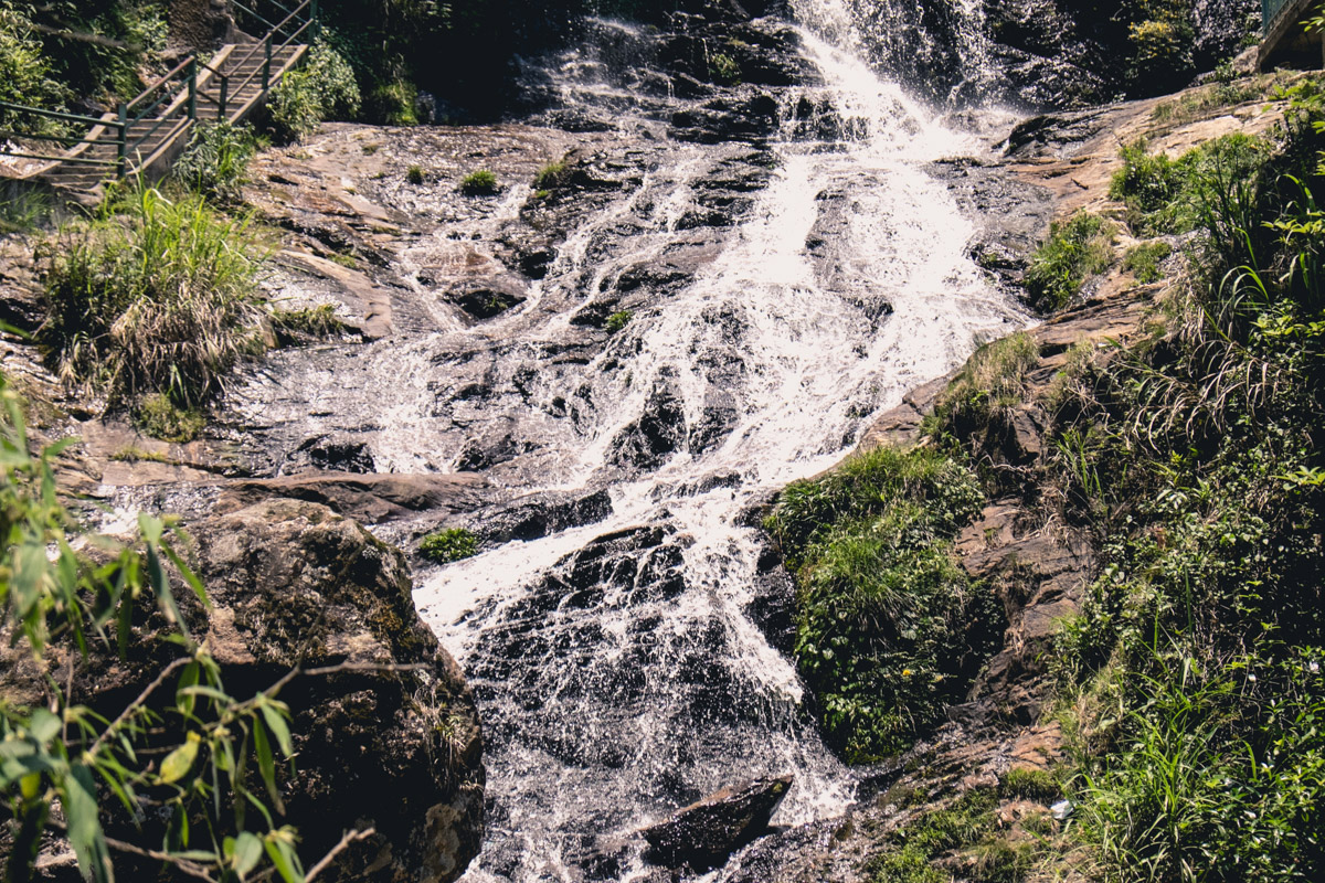 DSCF3458
