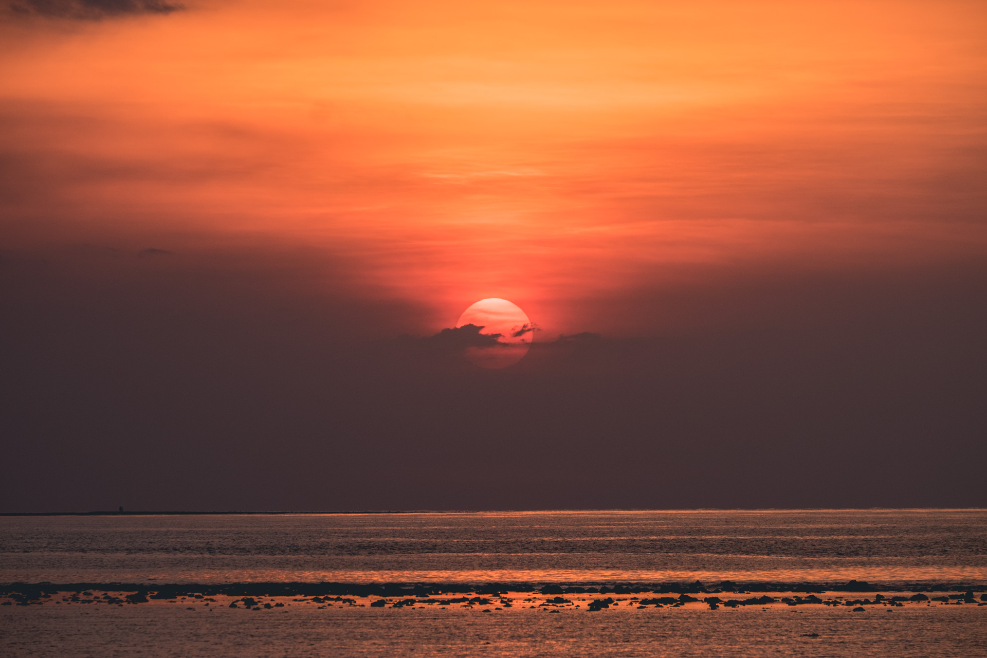 DSCF0137